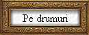 Pe drumuri
