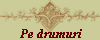 Pe drumuri